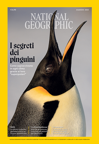 NATIONAL GEOGRAPHIC 12 MESI