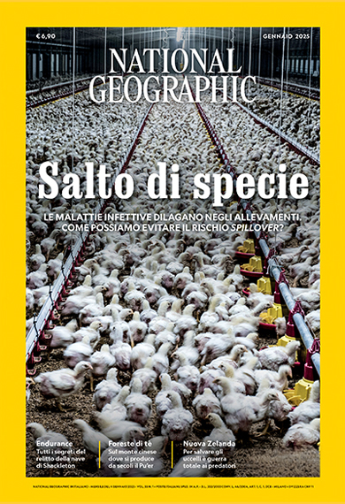 NATIONAL GEOGRAPHIC 1/2025: SALTO DI SPECIE